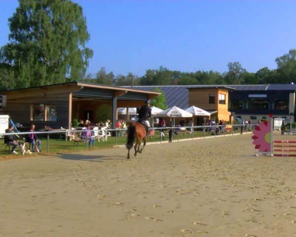 Reitturnier Sonsbeck 2024