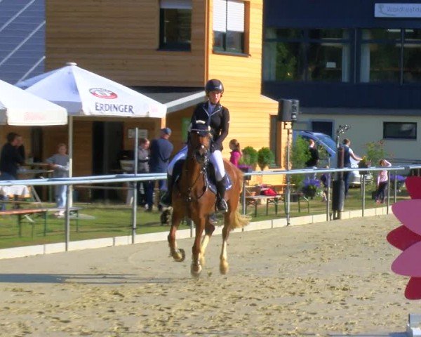 Reitturnier Sonsbeck 2024