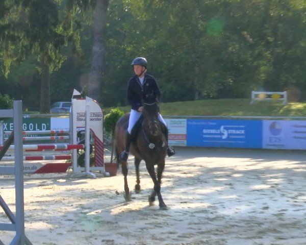 Reitturnier Sonsbeck 2024