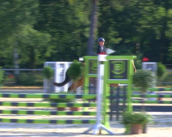 Reitturnier Sonsbeck 2024