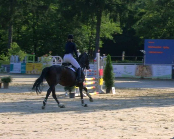 Reitturnier Sonsbeck 2024