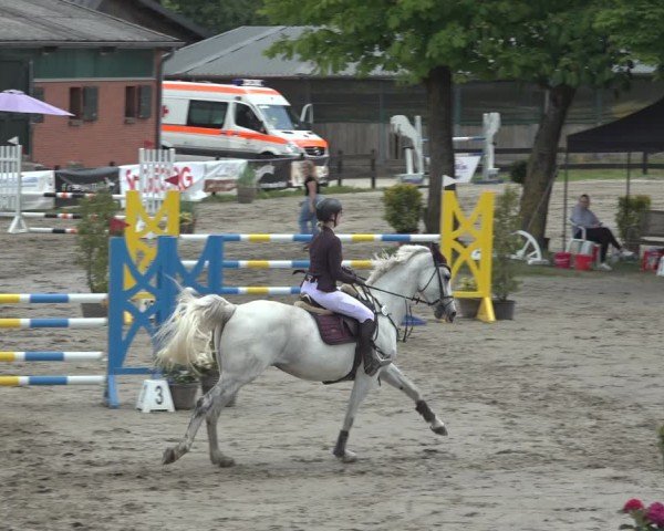 Reitturnier Breitenburg 2024