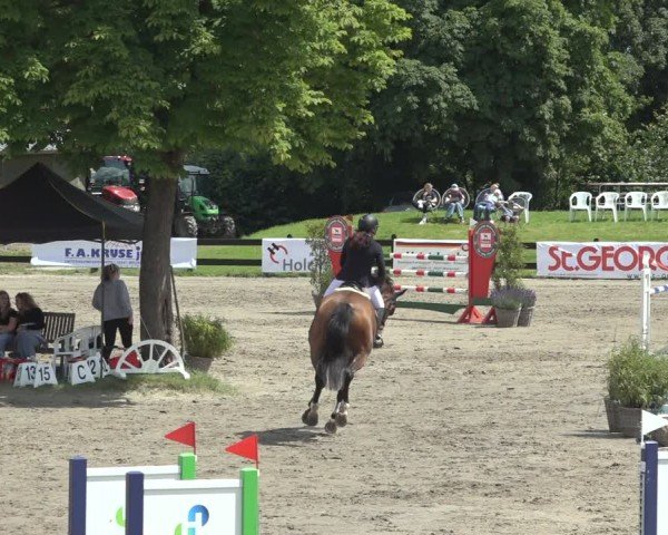 Reitturnier Breitenburg 2024