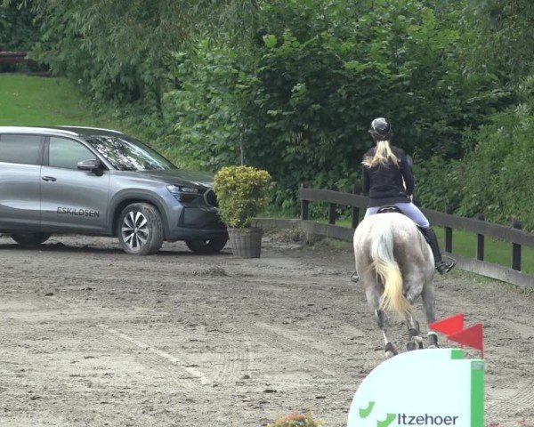 Reitturnier Breitenburg 2024