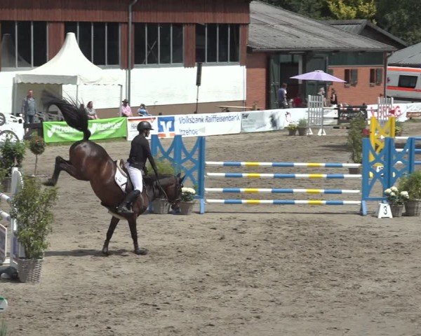 Reitturnier Breitenburg 2024