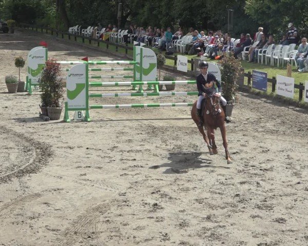 Reitturnier Breitenburg 2024