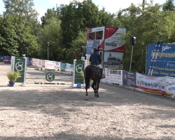 Reitturnier Großenwiehe 2024