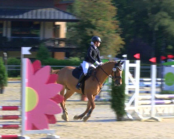 Reitturnier Sonsbeck 2024