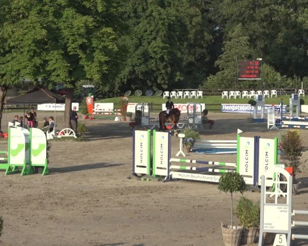 Reitturnier Breitenburg 2024