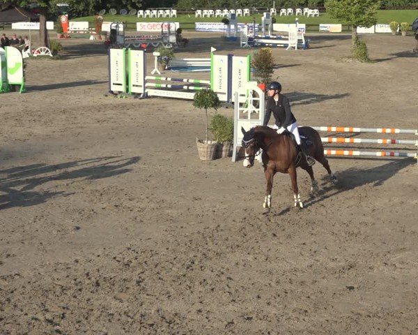 Reitturnier Breitenburg 2024