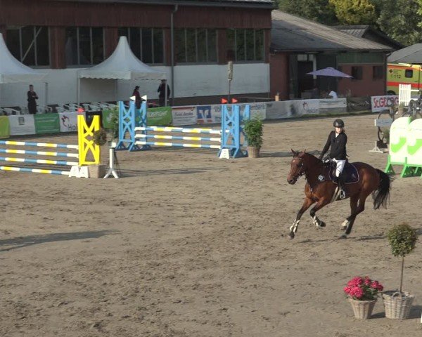 Reitturnier Breitenburg 2024