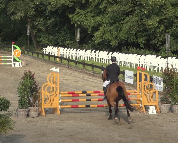 Reitturnier Breitenburg 2024