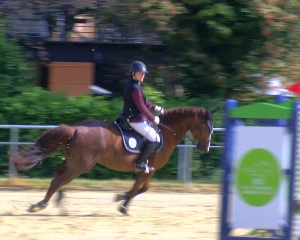 Reitturnier Sonsbeck 2024