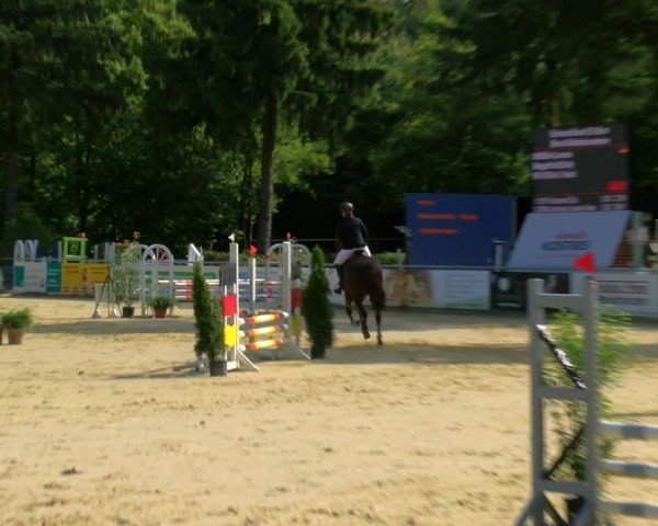 Reitturnier Sonsbeck 2024