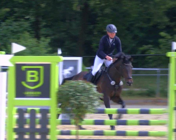 Reitturnier Sonsbeck 2024