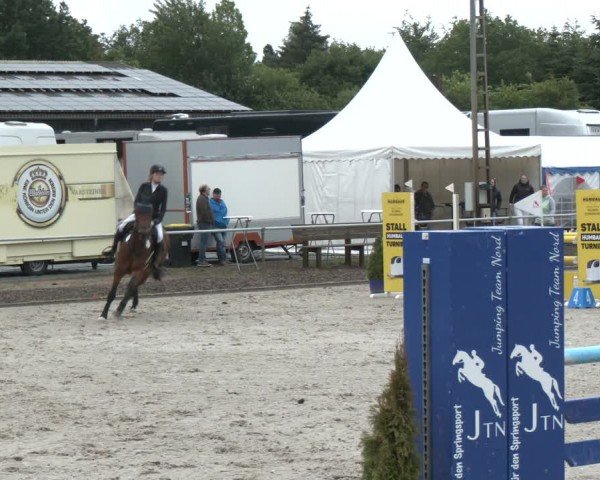 Reitturnier Großenwiehe 2024
