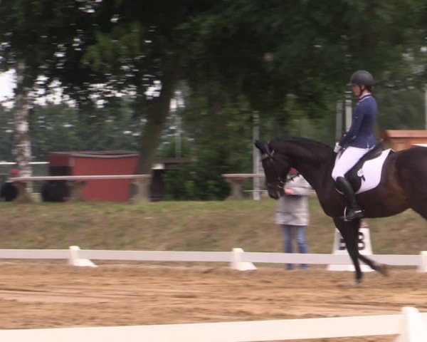 Reitturnier Uenze 2024