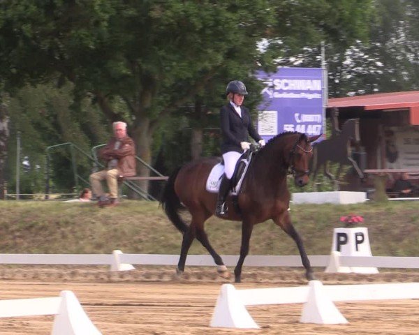 Reitturnier Uenze 2024