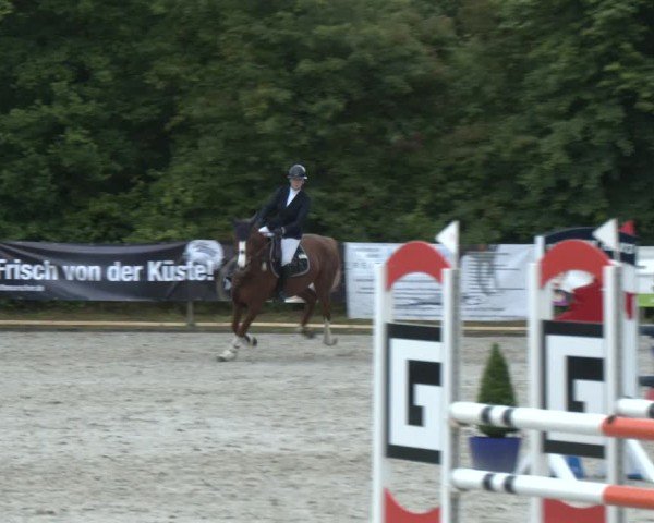Reitturnier Großenwiehe 2024
