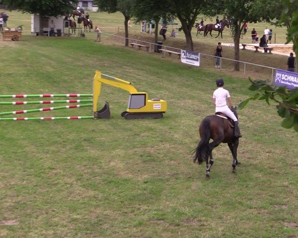 Reitturnier Uenze 2024