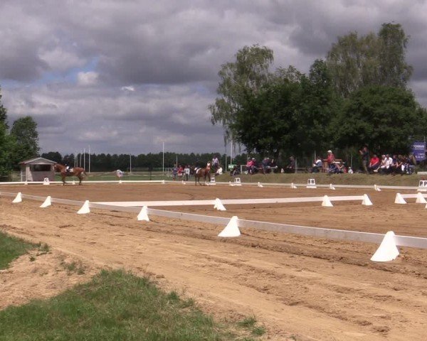 Reitturnier Uenze 2024