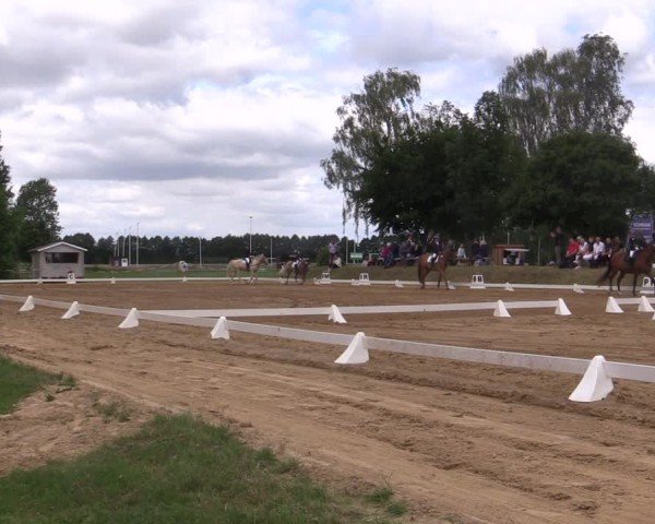 Reitturnier Uenze 2024