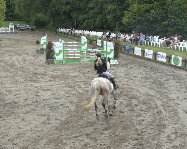Reitturnier Breitenburg 2024