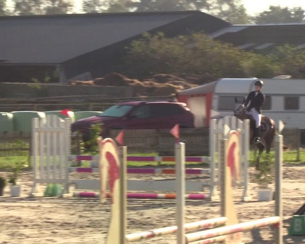 Reitturnier Schülp / Rendsburg 2021