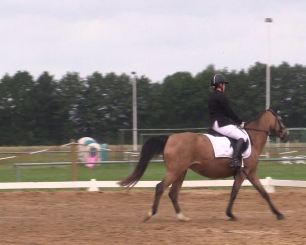 Reitturnier Uenze 2024