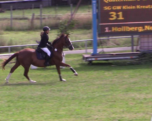 Reitturnier Uenze 2024