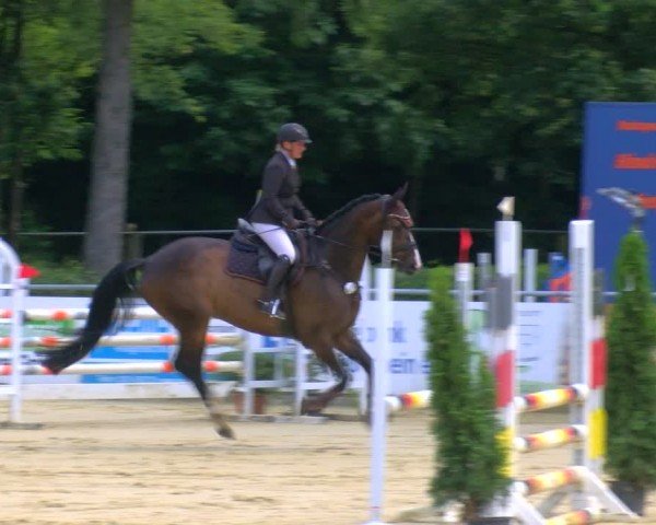 Reitturnier Sonsbeck 2024
