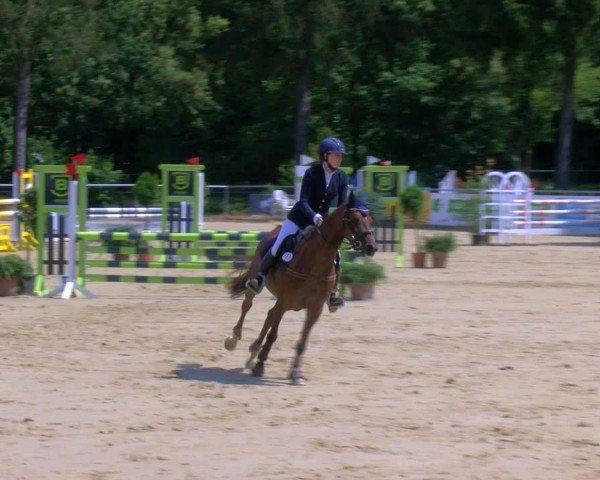 Reitturnier Sonsbeck 2024