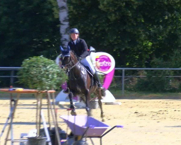 Reitturnier Sonsbeck 2024