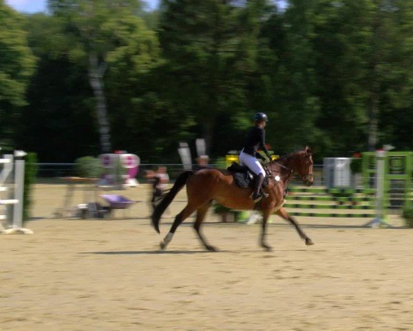 Reitturnier Sonsbeck 2024