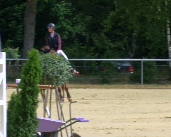 Reitturnier Sonsbeck 2024