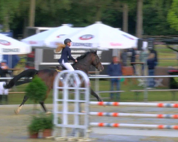 Reitturnier Sonsbeck 2024
