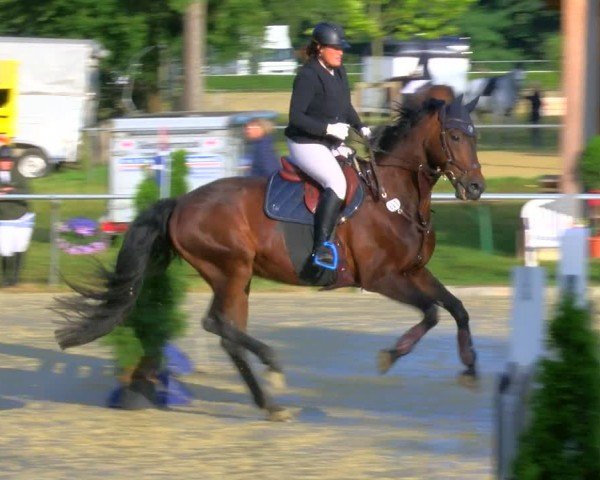 Reitturnier Sonsbeck 2024