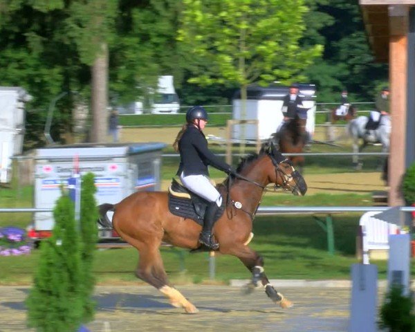 Reitturnier Sonsbeck 2024