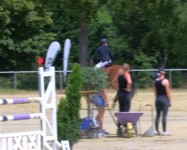 Reitturnier Sonsbeck 2024