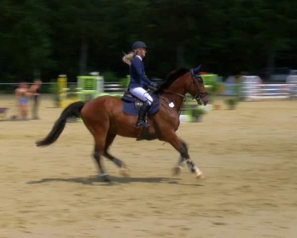 Reitturnier Sonsbeck 2024