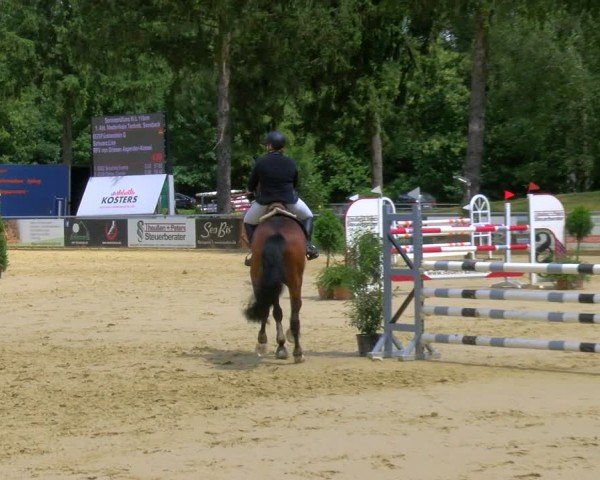 Reitturnier Sonsbeck 2024
