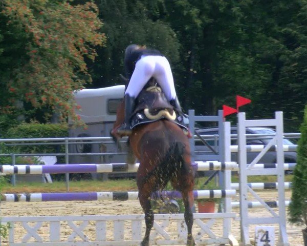 Reitturnier Sonsbeck 2024