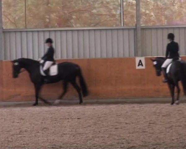 St. Georg Marl 2012