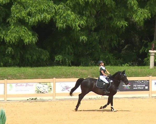 Reitturnier Tiefenhof/Opf. 2024
