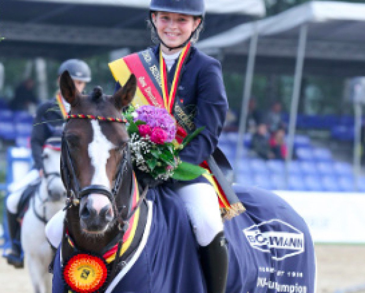 Deckhengst Magic Cornflakes (Deutsches Reitpony, 2008, von Miraculix)