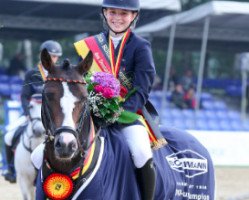 stallion Magic Cornflakes (German Riding Pony, 2008, from Miraculix)