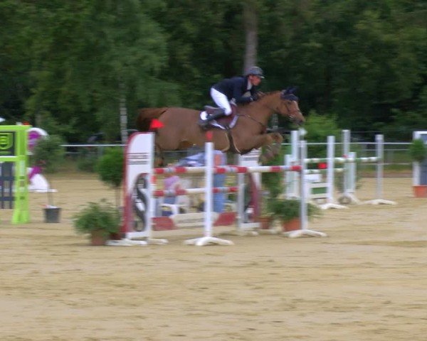 Reitturnier Sonsbeck 2024