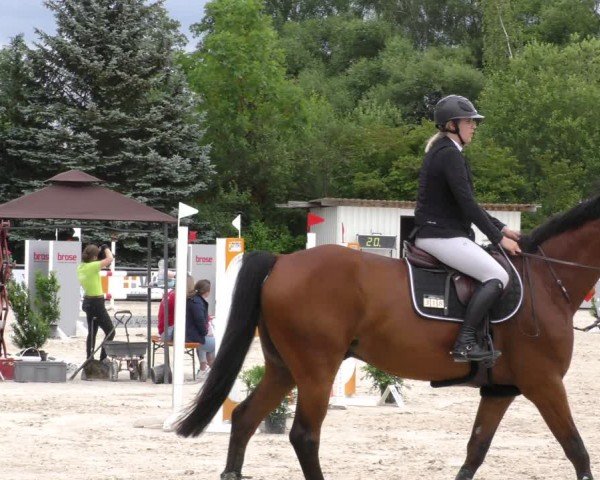 Reitturnier Mitwitz/Ofr. 2024