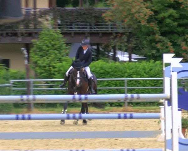 Reitturnier Sonsbeck 2024