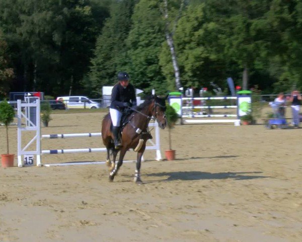 Reitturnier Sonsbeck 2024